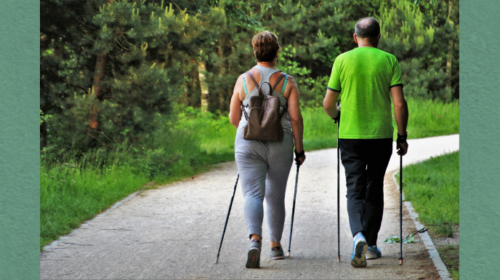 Senior Fall Prevention Checklist